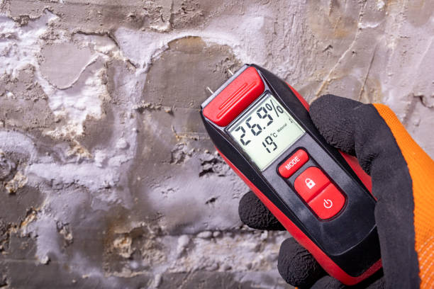 Best Mold Testing  in Okeechobee, FL